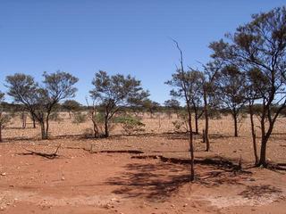 #1: View west from confluence