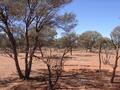 #3: View east from confluence