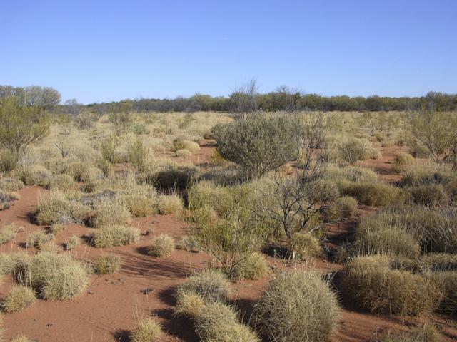 View from the confluence looking south