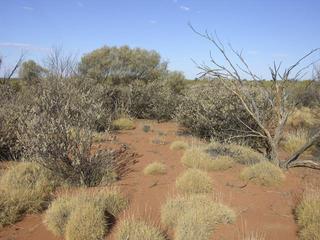 #1: View of the confluence looking east