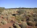 #4: View from the confluence looking south