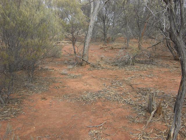 View of the confluence looking west