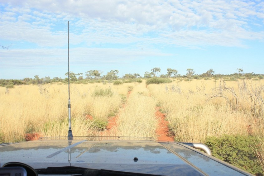 Track west of Jerry's Bore