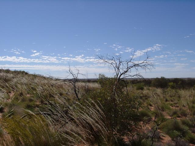 View east from the confluence