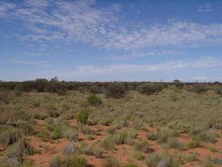 #1: View south from the confluence