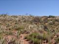 #3: View north from the confluence