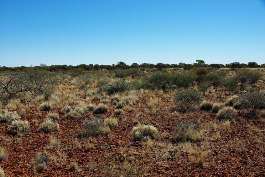 Looking North from the Confluence