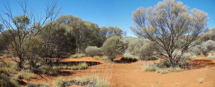 #1: General View of Confluence Area