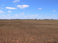 #2: Looking East from S25 E115