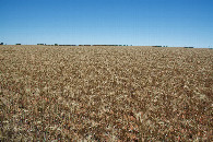 #4: View West