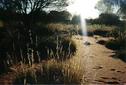 #4: West