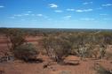 #10: The Darlot Rd in general vicinity of confluence ( 20km)