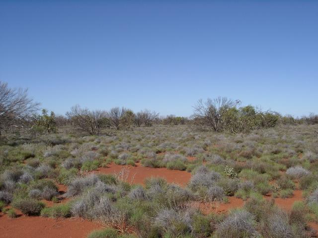 View east from confluence