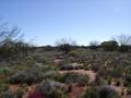 #3: View west from confluence