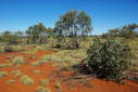 #3: Looking South from the Confluence