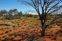 #5: Looking West from the Confluence