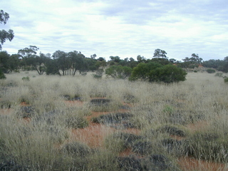 #1: View of the confluence