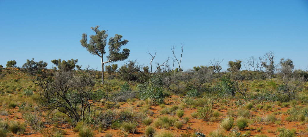 General View of Confluence Area