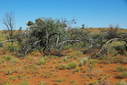 #3: Looking South from the Confluence