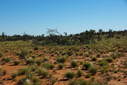 #5: Looking West from the Confluence