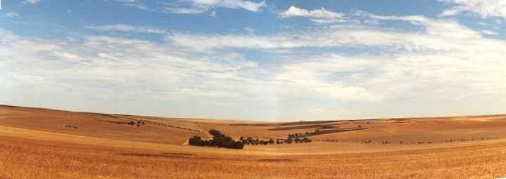 Panorama looking north towards the Marloo Homestead.