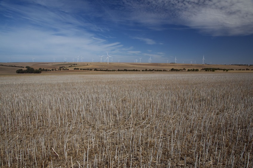 View West (towards Connolly Road, 800 m away, with a wind farm beyond)