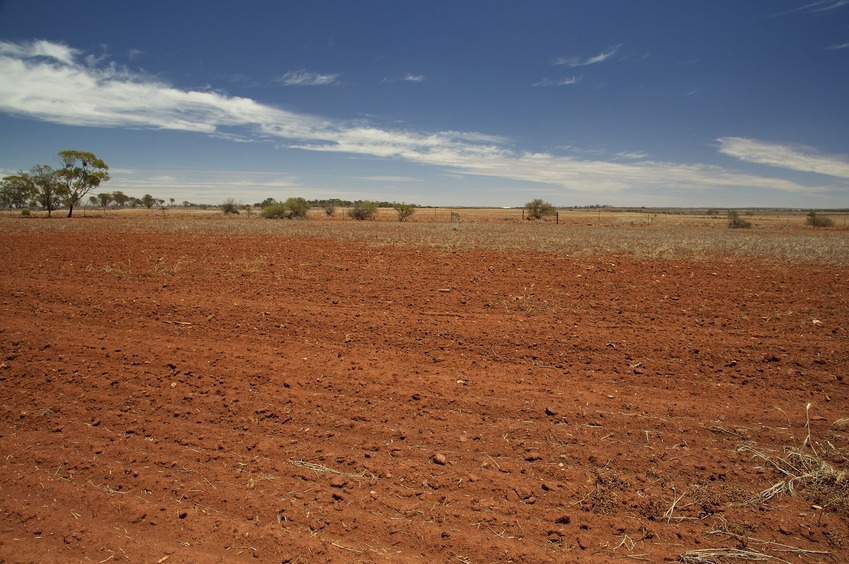 View West (towards the dirt road, 75 m away)