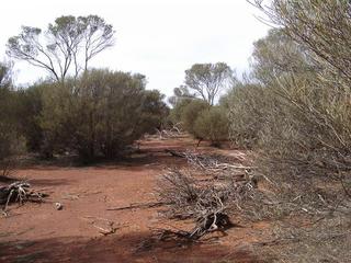 #1: View east of confluence