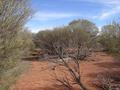 #2: View west of confluence