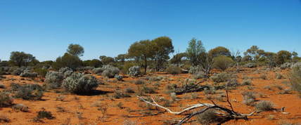 #1: General View of Confluence Area