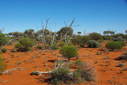 #5: Looking West from the Confluence