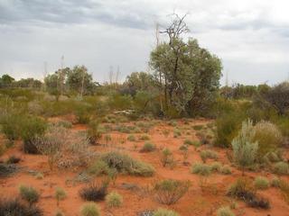 #1: confluence looking north