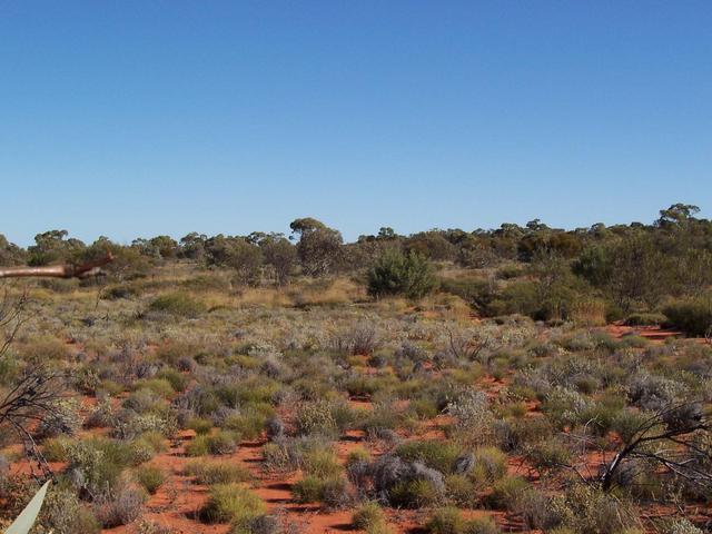 Looking west
