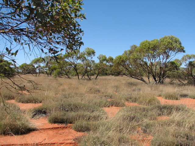 looking east