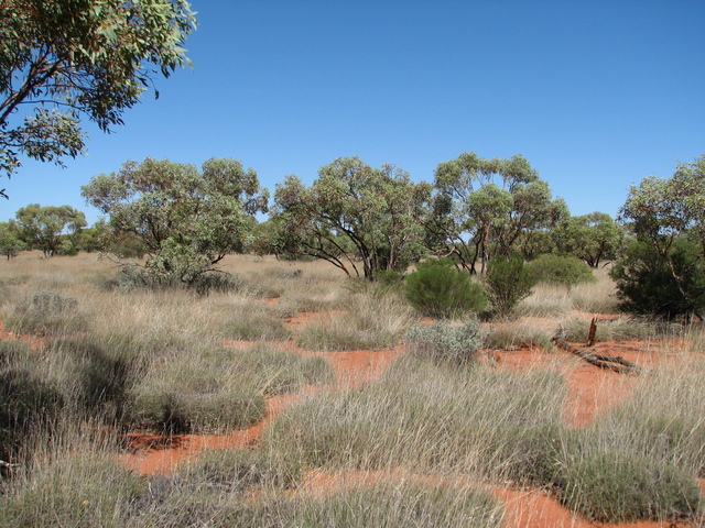 looking south