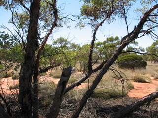 #1: Confluence Point looking north