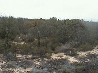 #1: Looking towards the CP from the power lines, 30m east