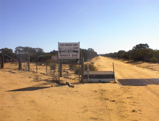 The 'Emu Proof Fence' looking north