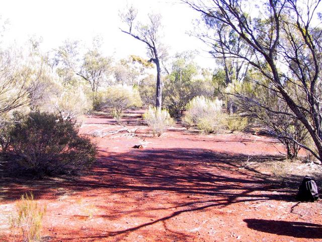 Confluence point looking north