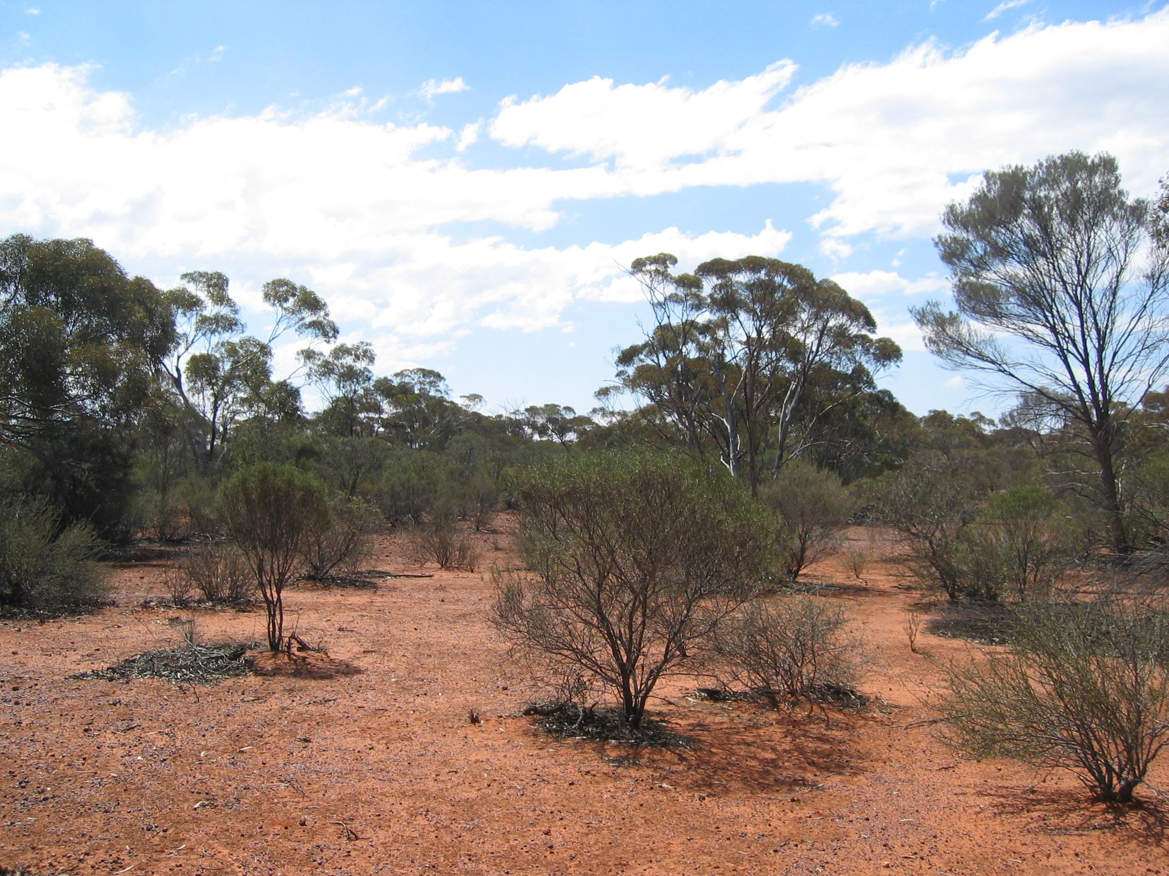 Overlooking the confluence point