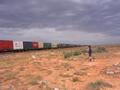 #7: Nullabor freight train