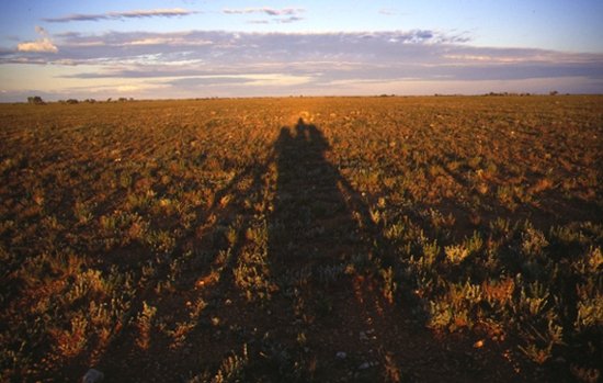 Nullarbor Plain an awesome expanse of sameness.