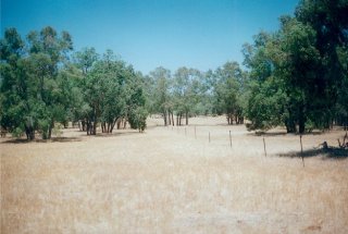 #1: The confluence is 1.4kms down this fenceline