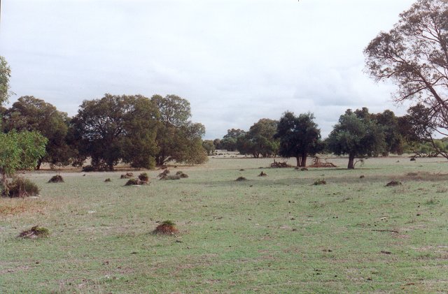 Looking southwest from the confluence.