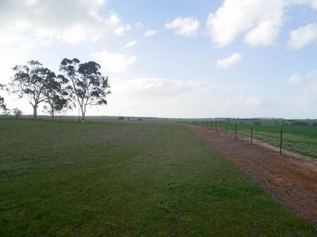 North view