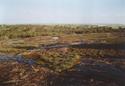 #6: View South from Uberin rock located approx. 1 km West of confluence