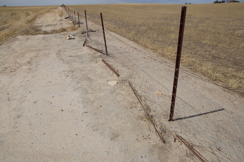 The confluence point lies beside this north-south fence, in farmland