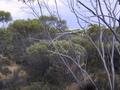 #2: Looking east from the confluence area