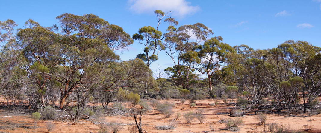 General View of the Confluence Area