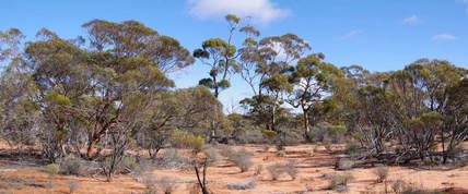 #1: General View of the Confluence Area